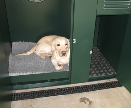 insulated dog cabin